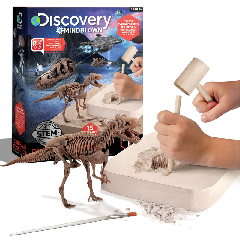 Dinosaur Skeleton T-Rex 3D Puzzle Excavation Kit/Educational Toy for Ages 6+ T6U0
