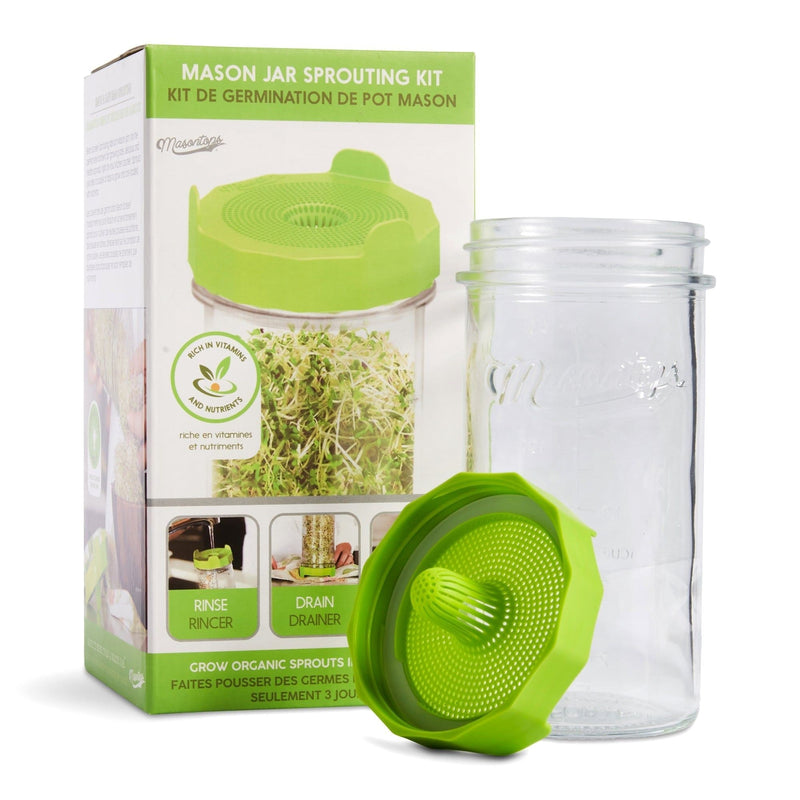 Single Mason Jar Sprouting Kit with Seeds, 3-pc J2V5